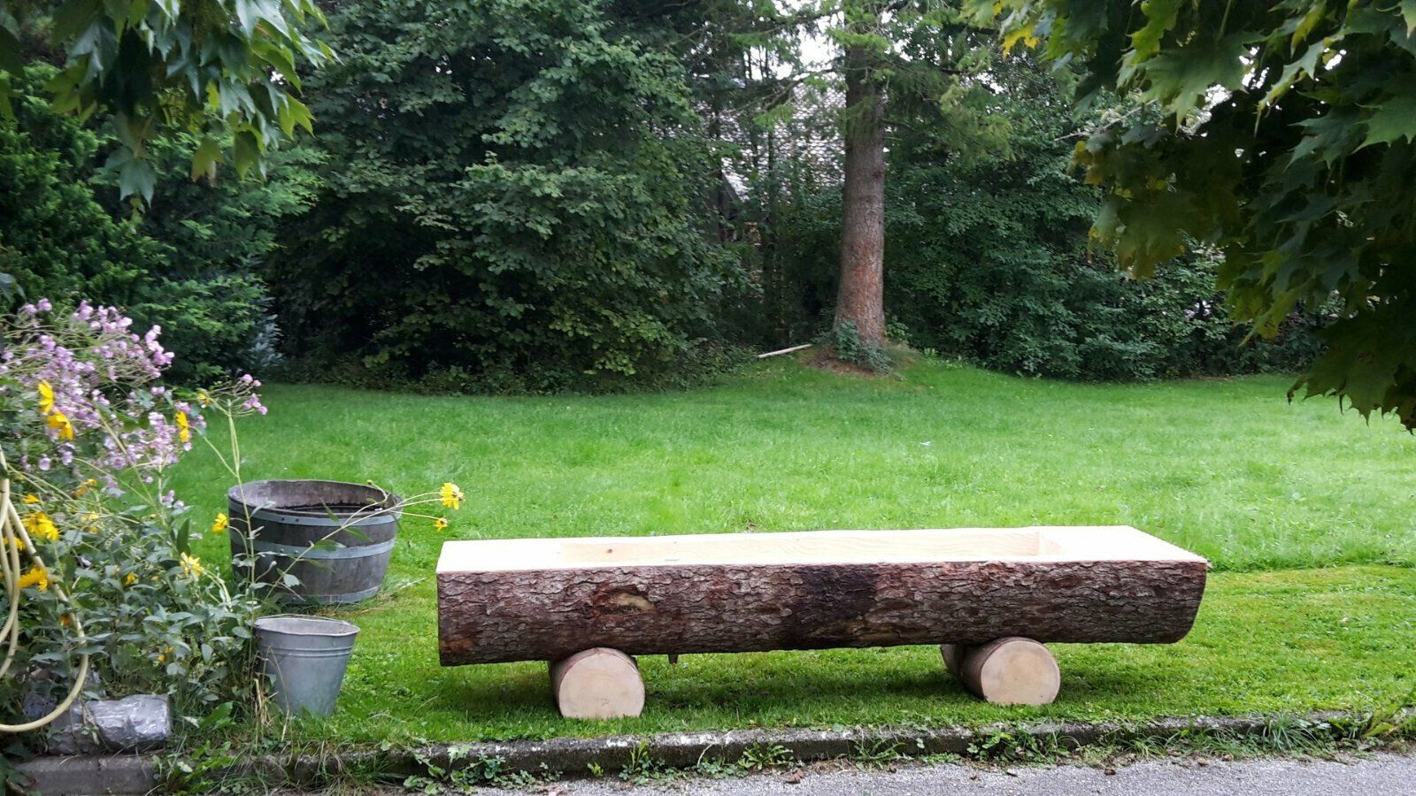 Bild 6 von 11