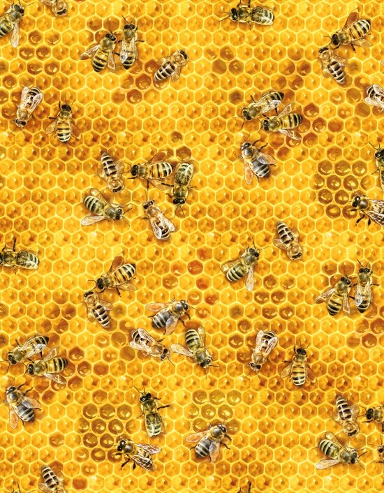 Fat Quarter Honey Bee on Honeycomb Cotton Quilting Fabric Elizabeth's Studio