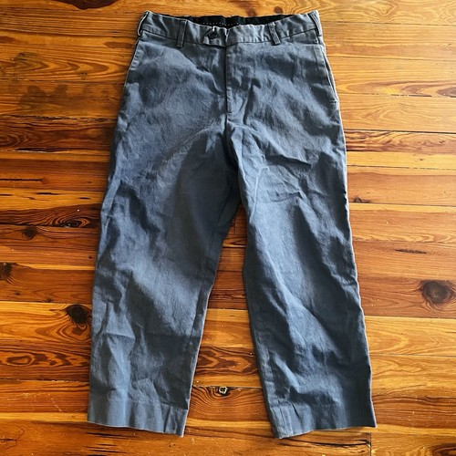 Assembly Men’s Pants Size Large Cropped Inseam 25” Gray Casual Trousers