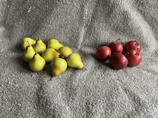 Lot Of 14 Mini Fake Fruit Apples And Pears Styrofoam Decorations