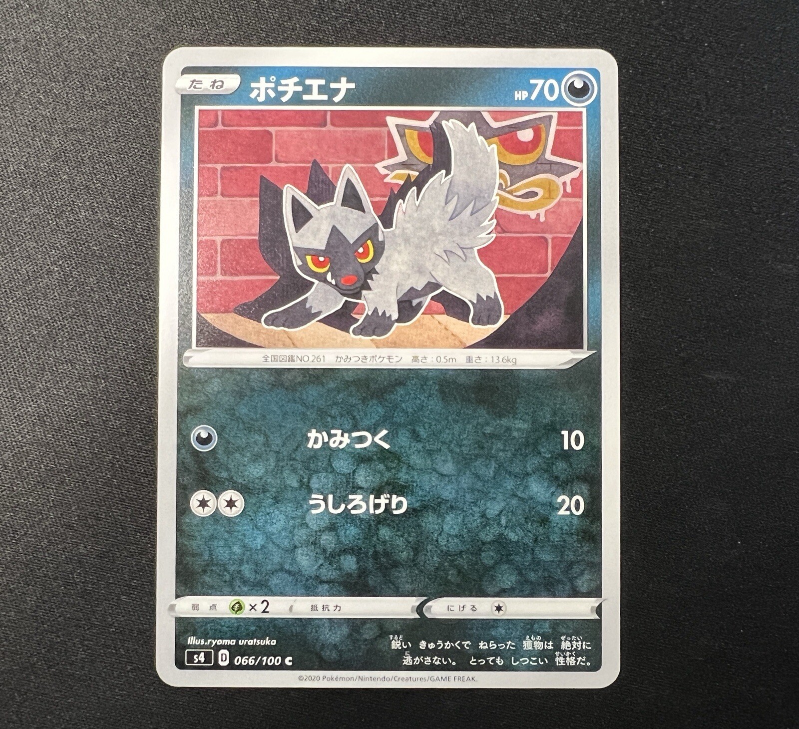 Poochyena 066/100 S4 Amazing Volt Tackle Non Holo Pokemon Card Japanese NM