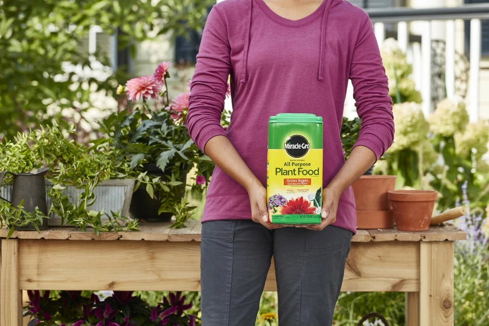 Miracle-Gro Water Soluble All Purpose Plant Food - Image 3 of 4