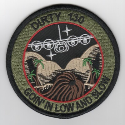 USAF AIR FORCE 746EAS DIRTY 130 LOW AND SLOW SUBDUED