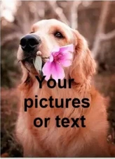 Custom 8" x 12" Aluminum Metal Sign Customize with Text or Picture