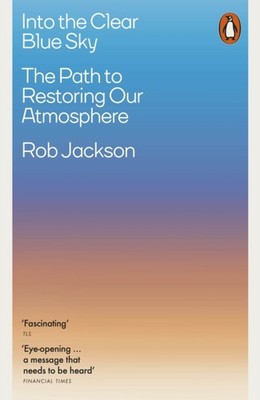 INTO THE CLEAR BLUE SKY by JACKSON ROB Paperback Self Help Business