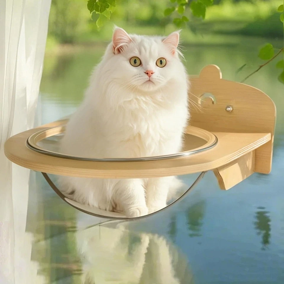 Perchoir de Fenêtre pour Chat, Lit de Fenêtre Peu Encombrant pour Bronzer, - Photo 3/4