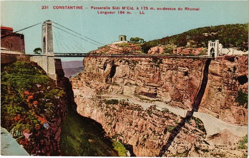 cpa algerie constantine a travers les oliviers vue generale
