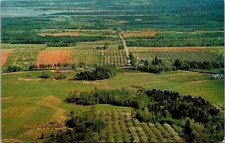 Cornwallis Valley Lookoff Wolfville Kentville NS Nova Scotia Postcard UNP VTG