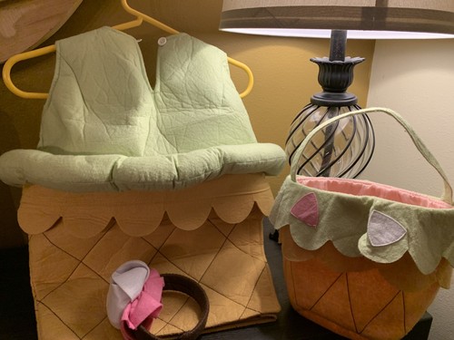 Pottery Barn Kids Ice Cream Cone Halloween Costume 2T-3T With Bag & Headband - Picture 8 of 12