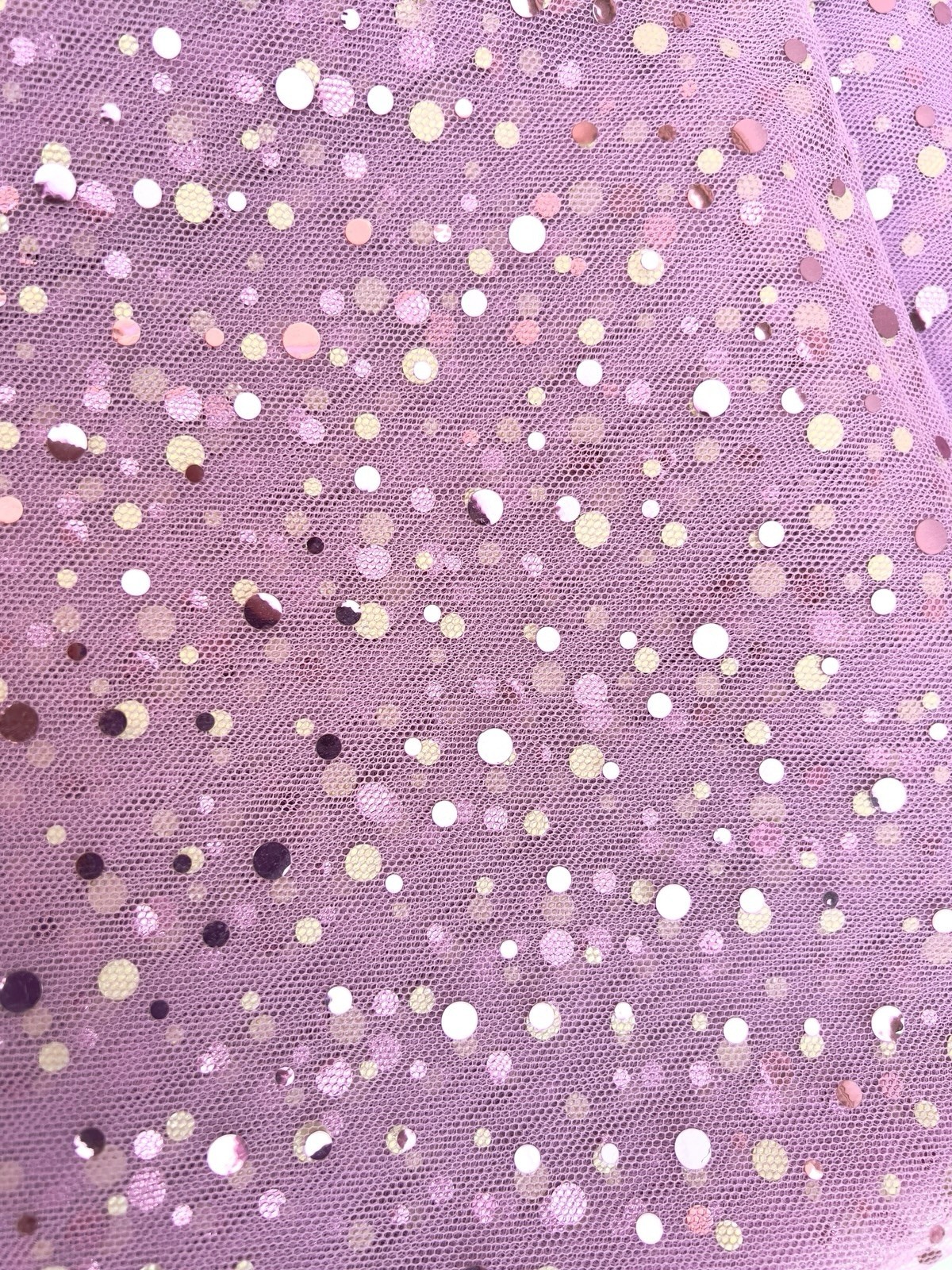 Picture 12 of 14