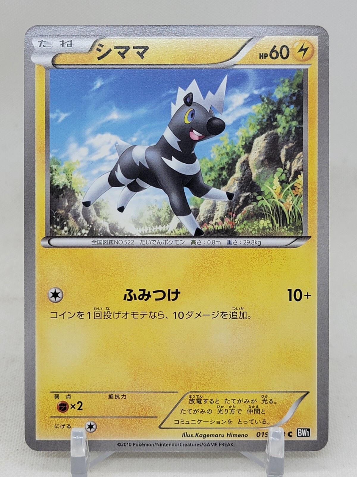 Blitzle 19/53 BW1 Black Collection Japanese Pokemon Card
