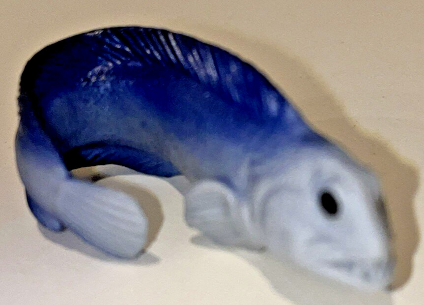 Yowie Atlantic Wolffish Wild Water Series Animal Collectible Figurine