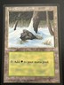 Vintage~MTG~Ice Age~Magic: The Gathering💥Snow-Covered Forest💥1995