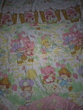 VTG Strawberry Shortcake Twin Bed Spread Cover  2 Pillow Shams  Curtains Set