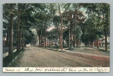 Elm Ave & Cottage Street GREENWICH NY Antique Dirt Road New York Postcard 1908