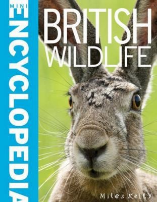 Mini Encyclopedia - British Wildlife: Crammed with Masses of Knowledge about...