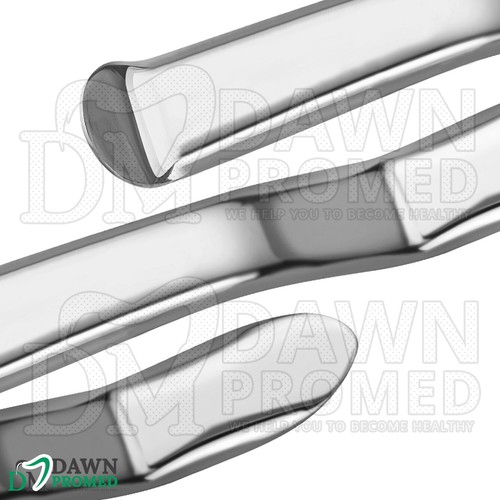 8 Pcs Basic Oral Surgery Kit Surgical Dental Veterinary Instruments German Grade - Picture 2 of 8