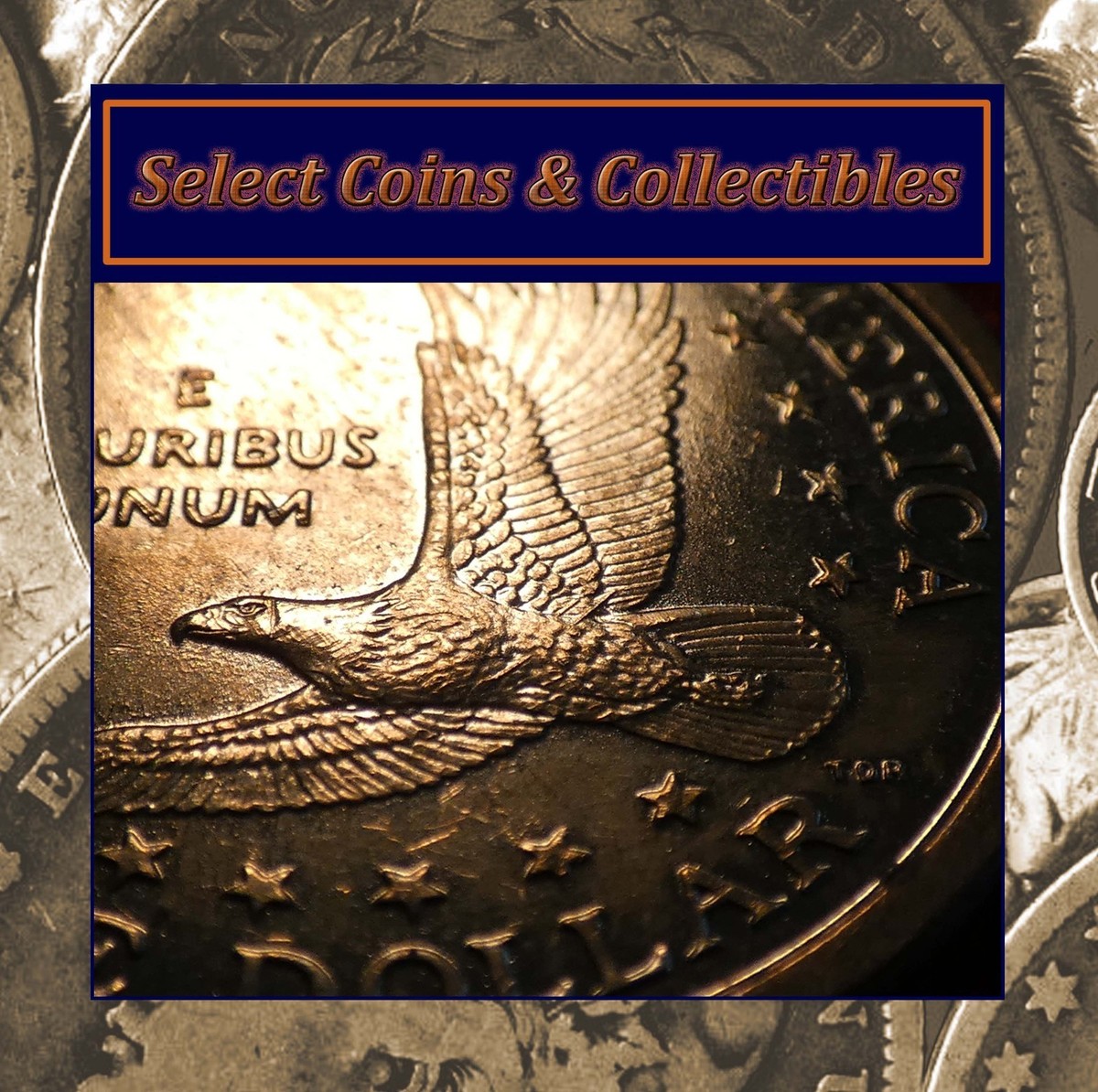 2000-P Sacagawea Dollar 