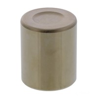 Bremssattelkolben Vorne BCP-120 FüR Honda FES 125 Pantheon 2T Bj. 1998-2001