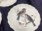 6 LIMOGES LES OISEAUX appetizer canapé PLATES beautiful BIRDS vintage! AA — photo 2