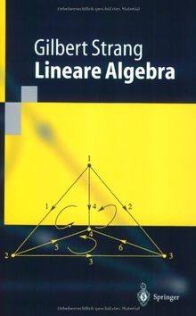 Lineare Algebra (Springer-Lehrbuch)  von Gilbert St... | Buch | Zustand sehr gut