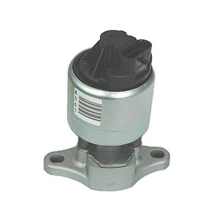 Magneti Marelli 571822112026 Agr-Ventil FüR Chevrolet,Daewoo,Opel-image