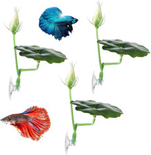 3 Pcs Betta Fish Bed Betta Leaf Hammock Suction Cup Tank Decor Fish Toys Leaf Pa