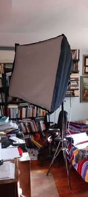 Photoflex Silver Dome NST with a 1000 watts bulbs + octoconnector
