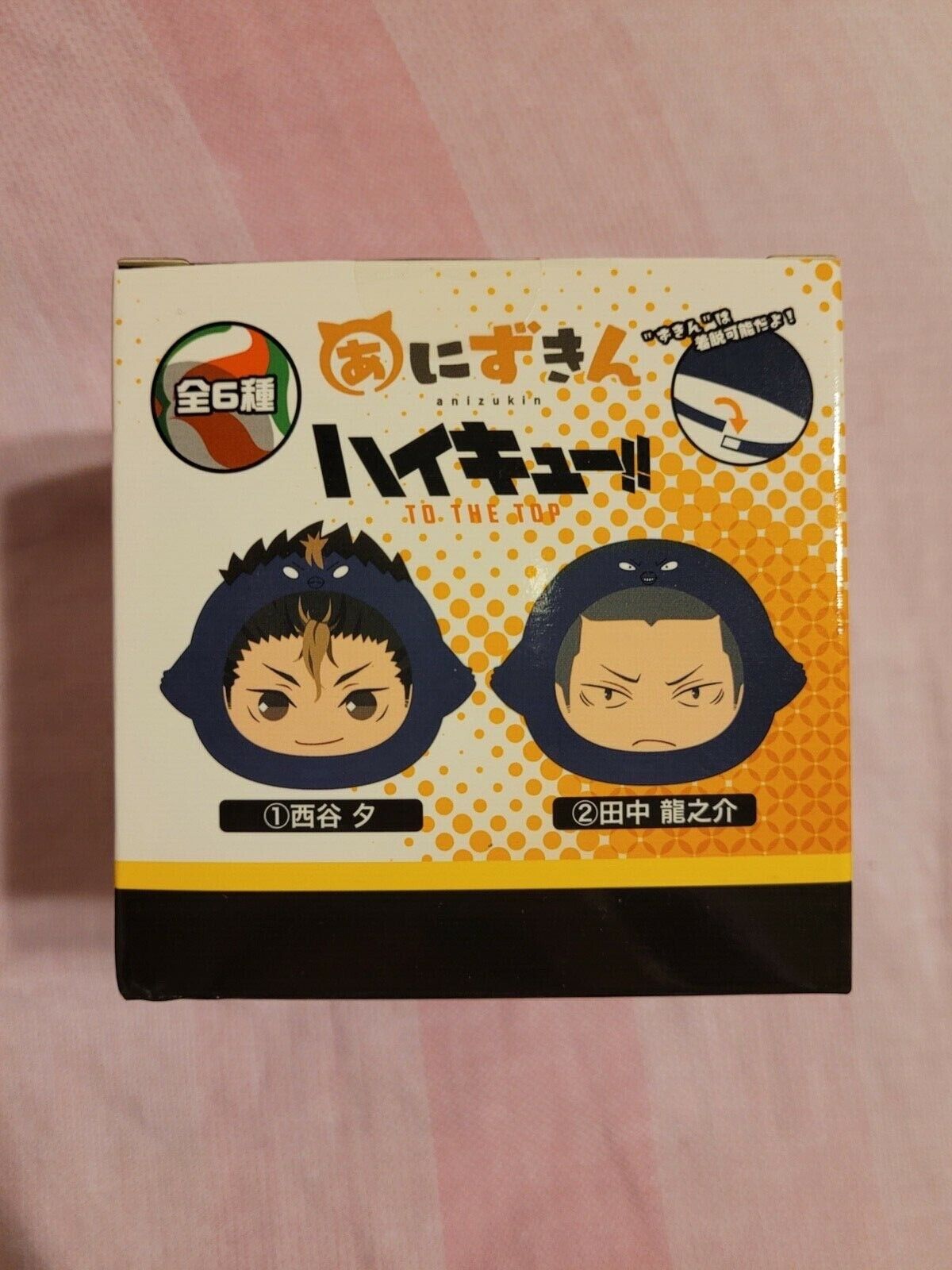 Haikyuu!! To The Top Toho Animation New Year Goods Can Badge BLIND PACKS