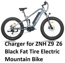    battery Charger for ZNH Z6 Z9 Black Fat Tire Electric Mountain Bike