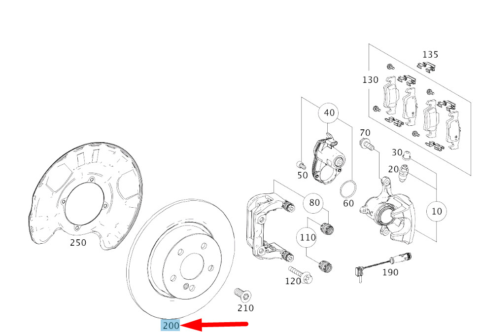 TES アリゲーターベルトイタリア製