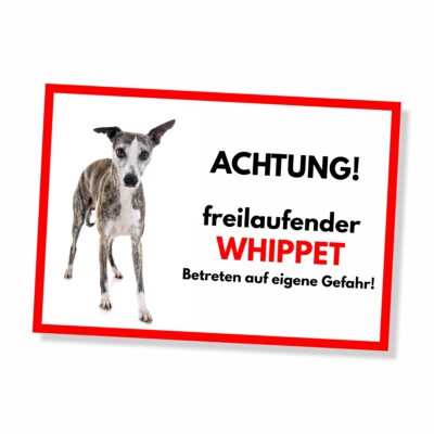 Whippet Freilaufender Hund Dog Schild Spruch Türschild Hundeschild Warnschild