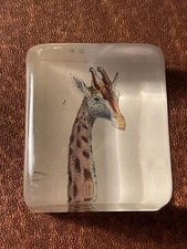 John Derian Company Giraffe Head Rectangular Charm Paperweight Signed USA