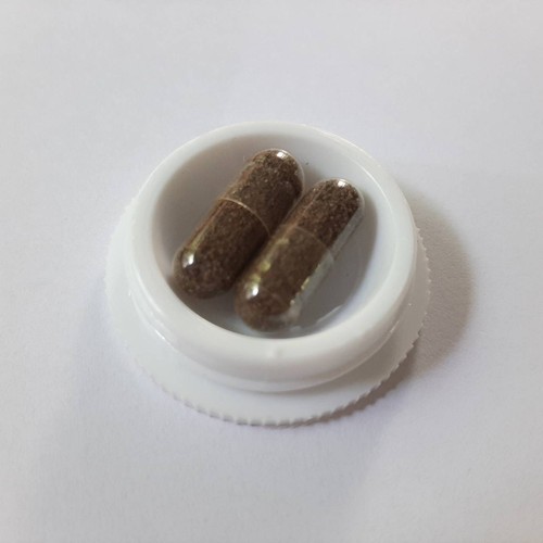 Live Rotifer Eggs Aquarium Fish Food Feed for Fry Freshwater 800-1000 Eggs - Picture 6 of 9