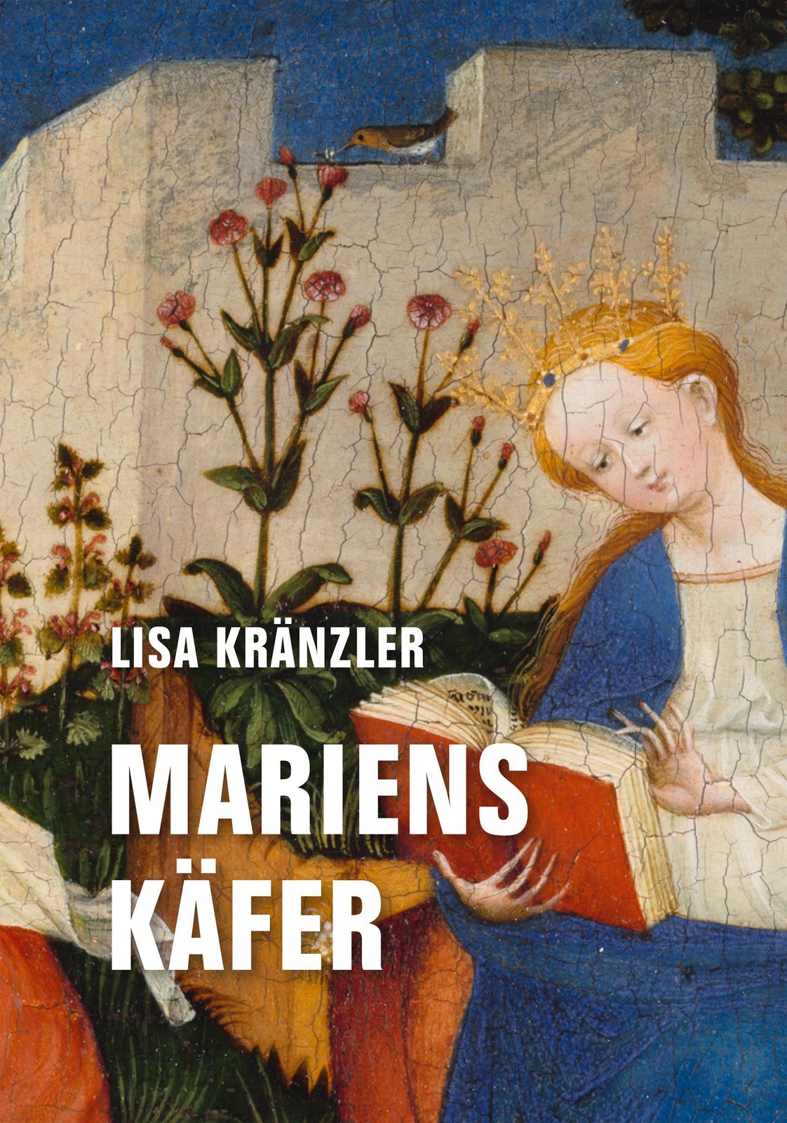 Verbrecher Verlag Mariens Käfer - Bild 2