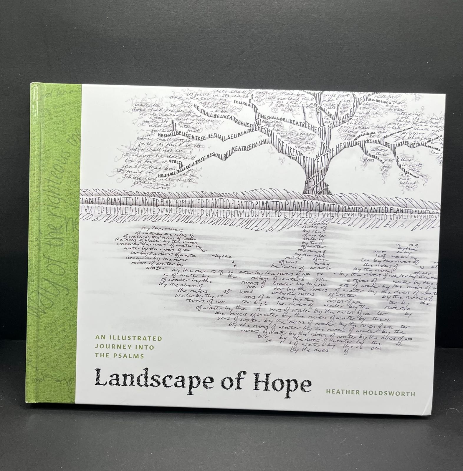 Landscape of Hope: An Illustrated Journey Into The Psalms Heather Holdsworth HB