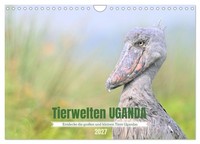 "Calendar 2027 · US Version · Animal Worlds Uganda (Wall Calendar 2027 12\" × 8\" L"