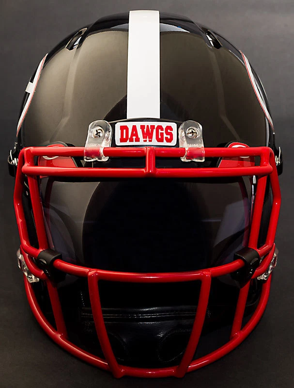*CUSTOM* GEORGIA BULLDOGS NCAA Riddell SPEED Full Size Replica Football Helmet - Image 3 of 4