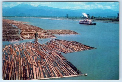 Paddle Steamer & Log Booms near PITT MEADOWS Canada 4x6 Postcard