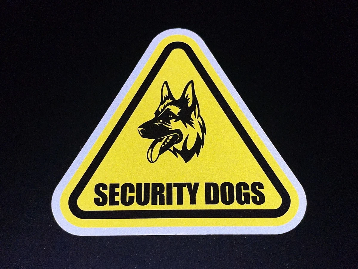 Dog car shop security