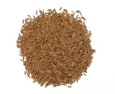 Caraway Seed Spice Whole - 1/2 Pound 8oz Heat Sealed Bag by Denver Spice