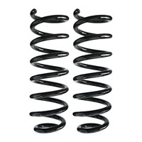 Fahrwerksfedern-Set Hinten Schraubenfeder Ø113Mm Spidan FüR U.A. MB SL