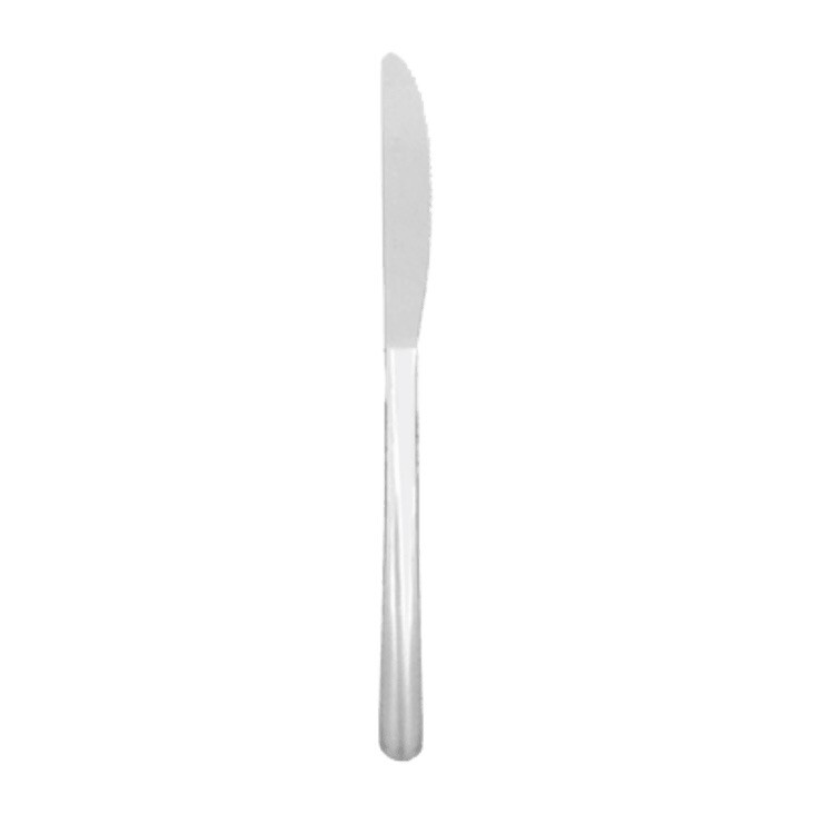 CASE OF 15 DOZEN (180) ￼Thunder Group SLWD009 Winsor restaurant Dinner Knives