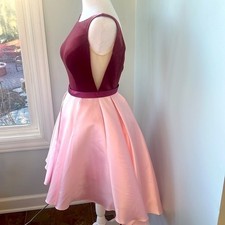 Alyce Paris Couture Sz 2 Pink Velvet  Heavy Taffeta Dress w/ Nude Net Inserts