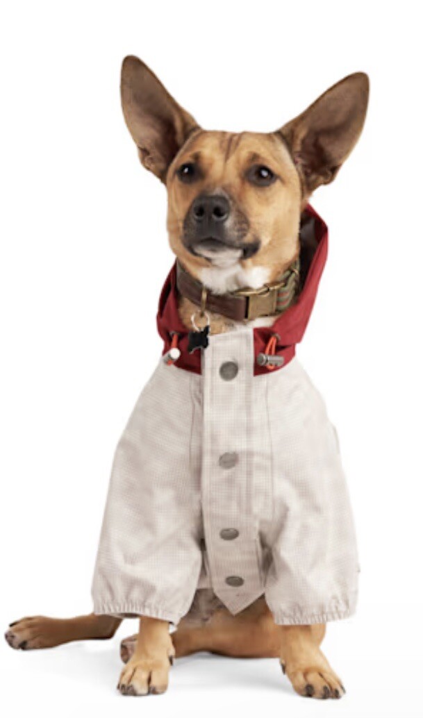 Reddy XXXL Dog Jacket Reflective Weather Shell Windproof Hoodie