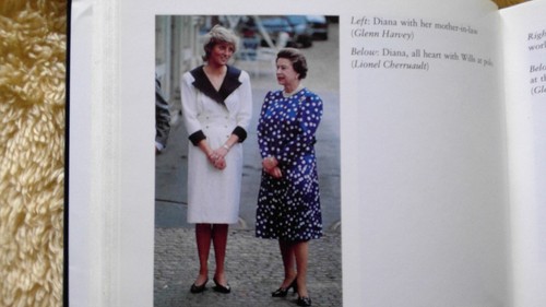 Diana V. Charles by Whitaker, James Hardback Book Penguins Books Ltd. - Picture 5 of 7