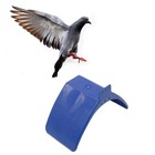 Bild 6 von 7