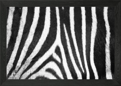 Zebra Muster E gerahmtes Wandbild Poster Leinwanddruck Bild