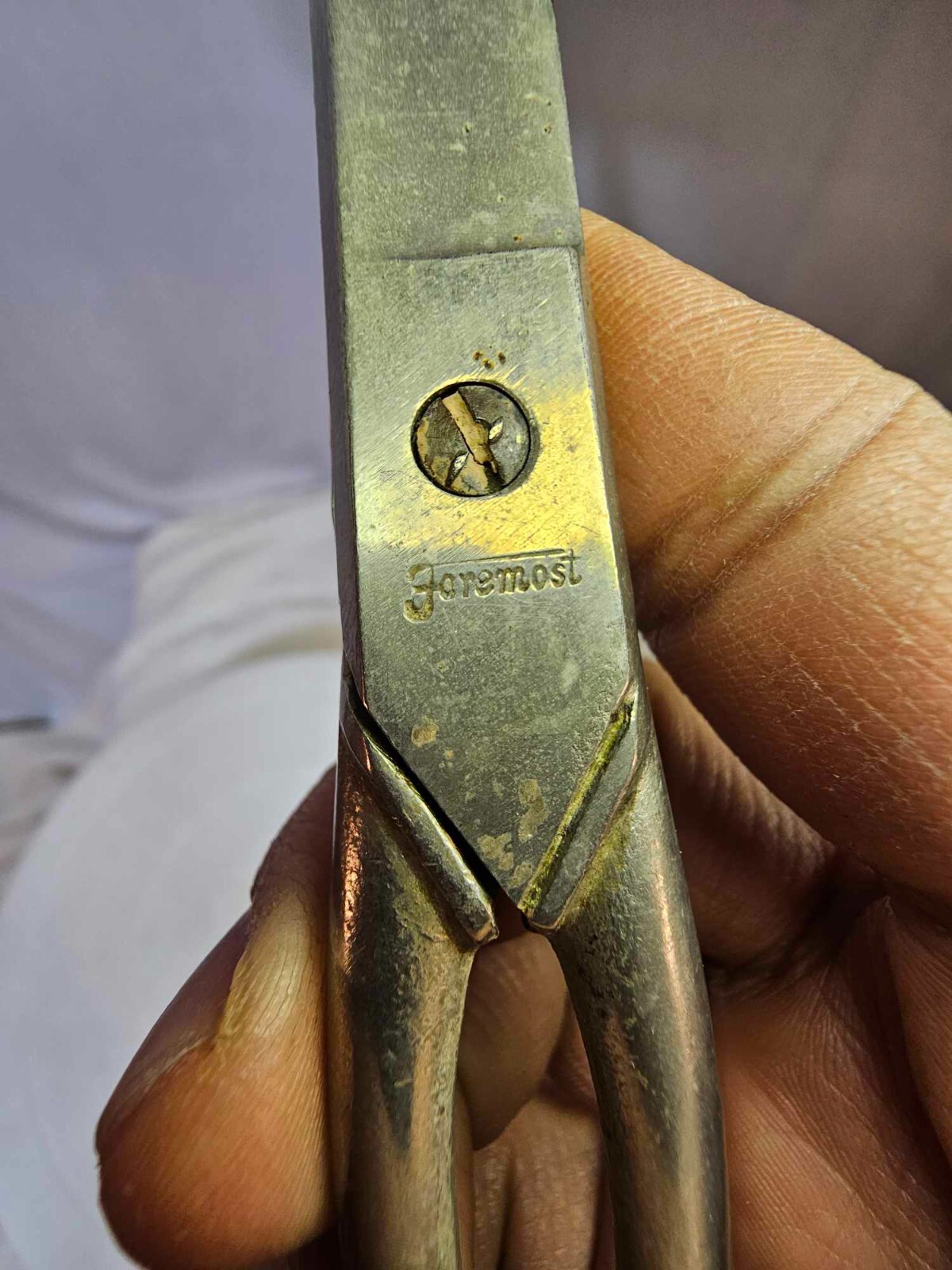 Vtg Hot drop forged steel italy scissors foremost 9" w Leather Case Germany- G5