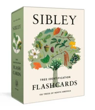 Sibley Tree Identification Flashcards: 100 Trees of North America - Cards - GOOD